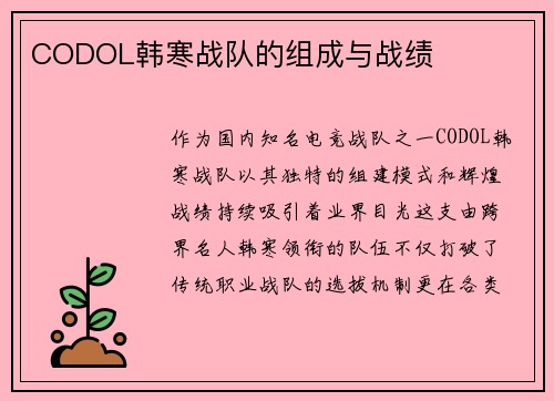 CODOL韩寒战队的组成与战绩