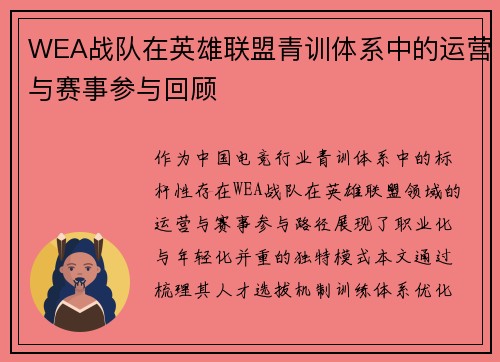 WEA战队在英雄联盟青训体系中的运营与赛事参与回顾
